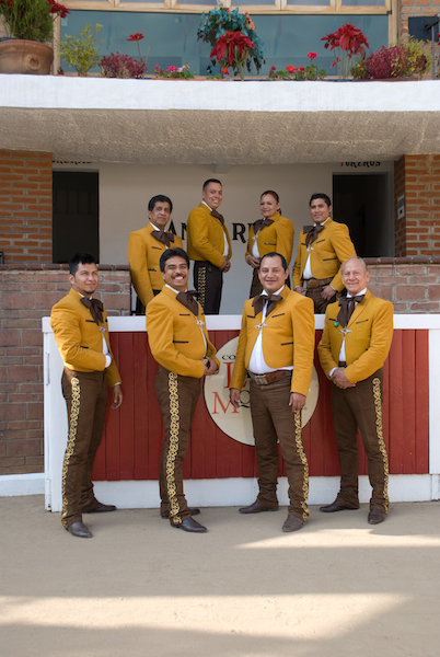 Mariachis D.F.